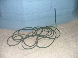 hose photo original